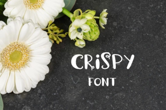 Crispy Font: A Playful and Versatile Display Typeface for Modern Design