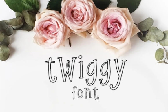 Twiggy: A Versatile and Expressive Display Font for Modern Design